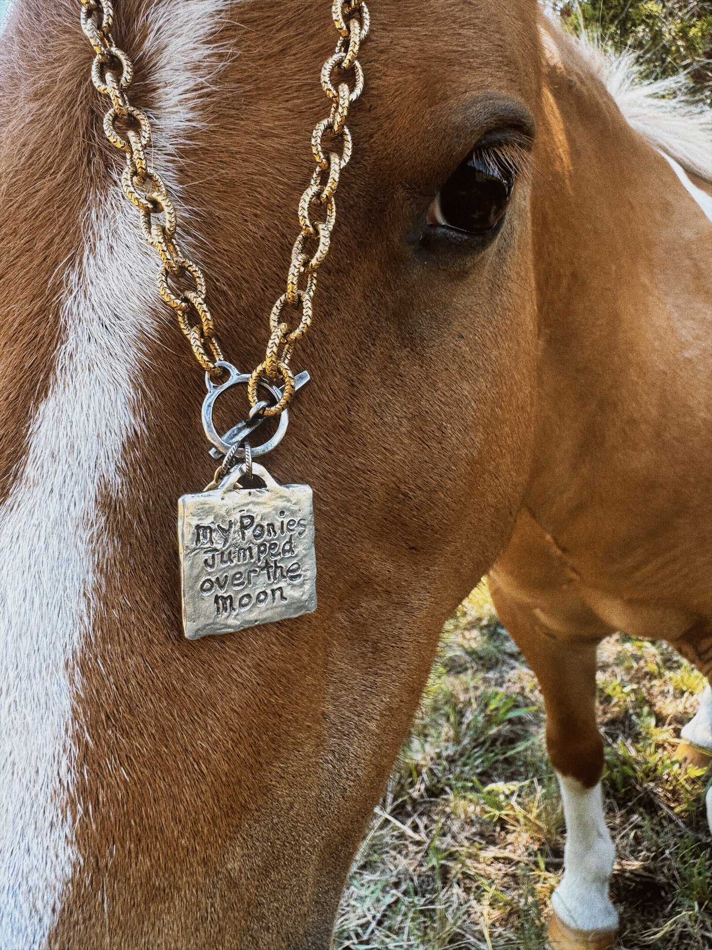 "PAINTED PONY" Necklace
