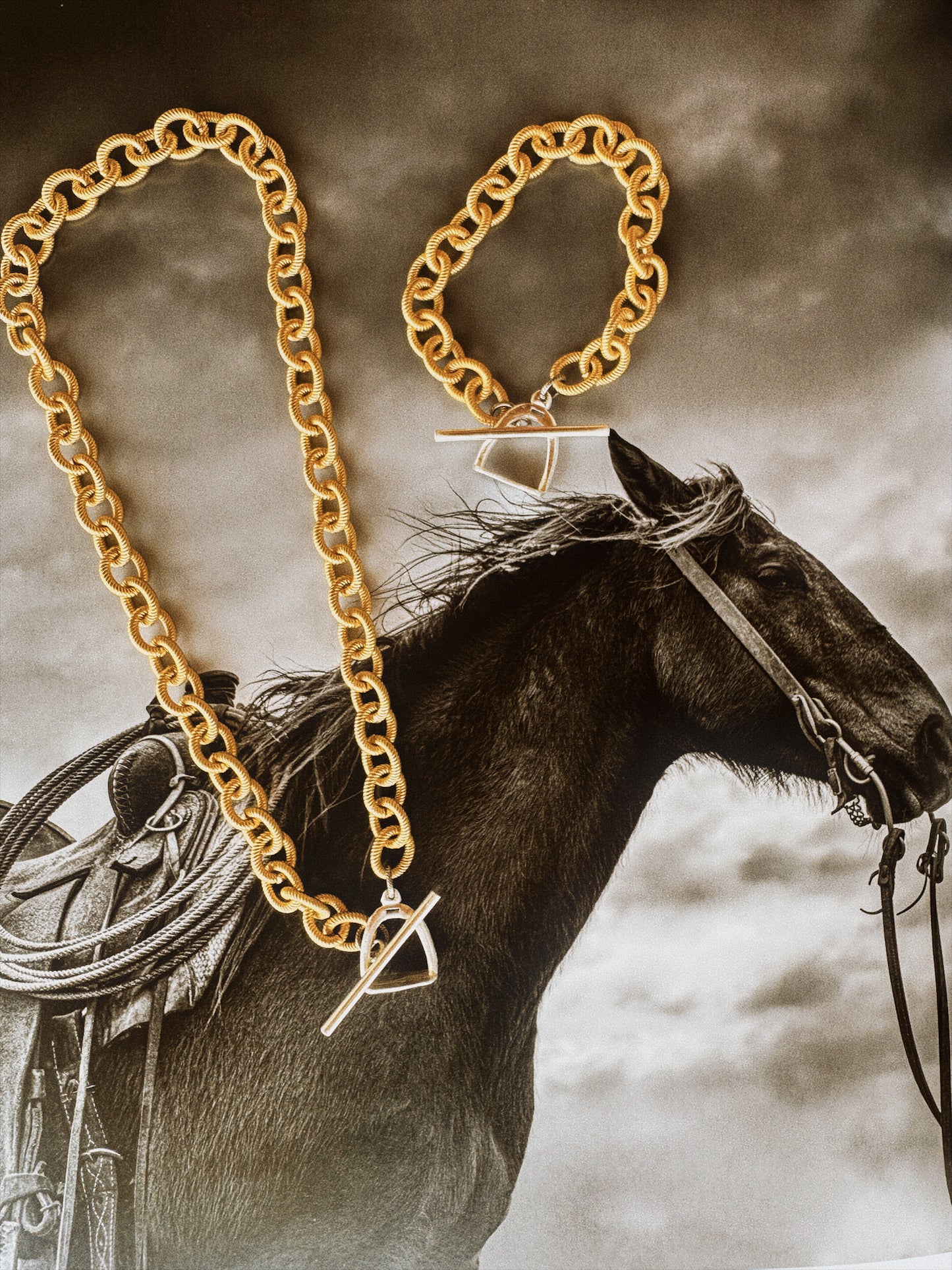 "STIRRUP THE DUST" Set