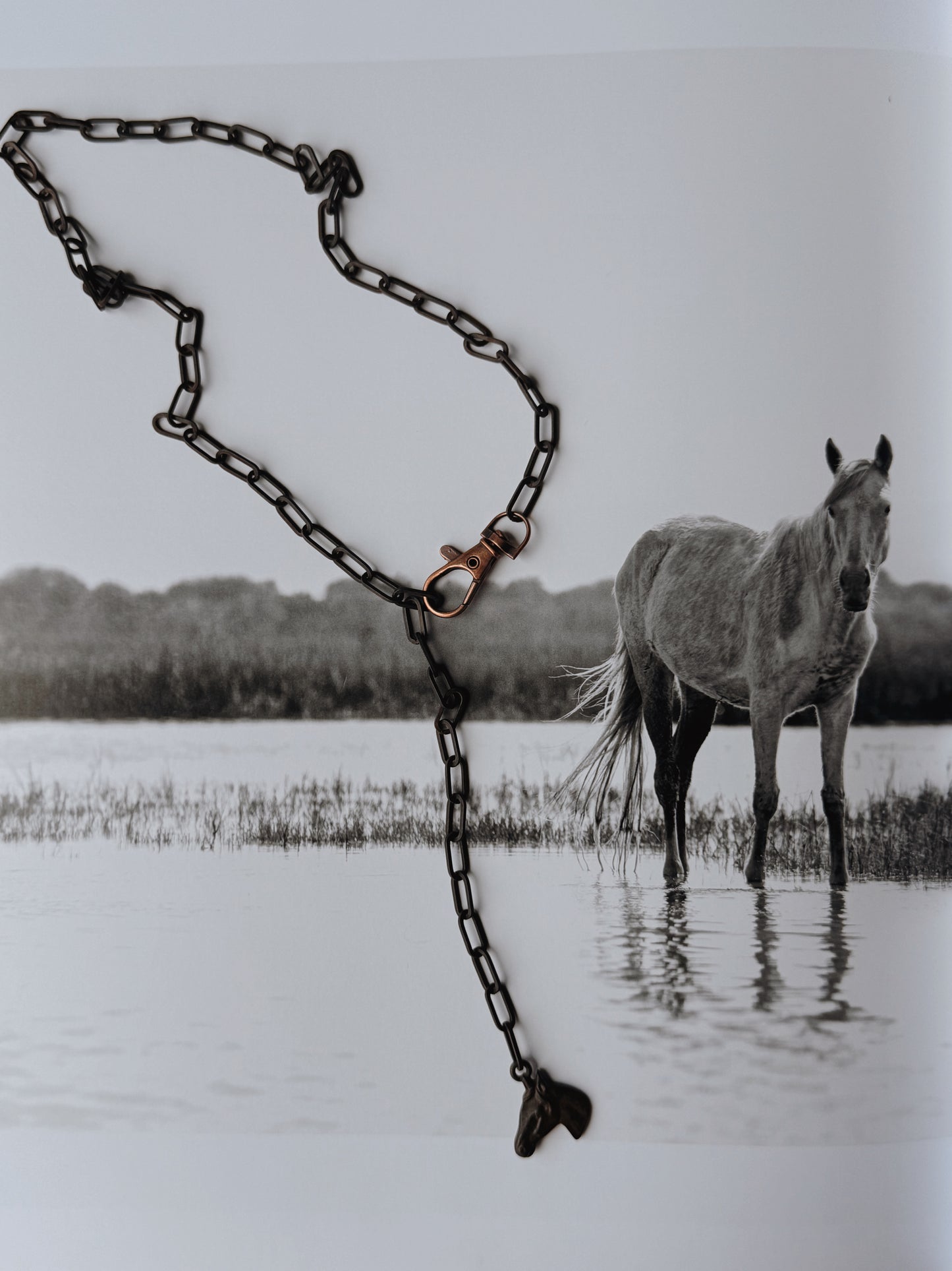 "OL BAY PONY" Lariat