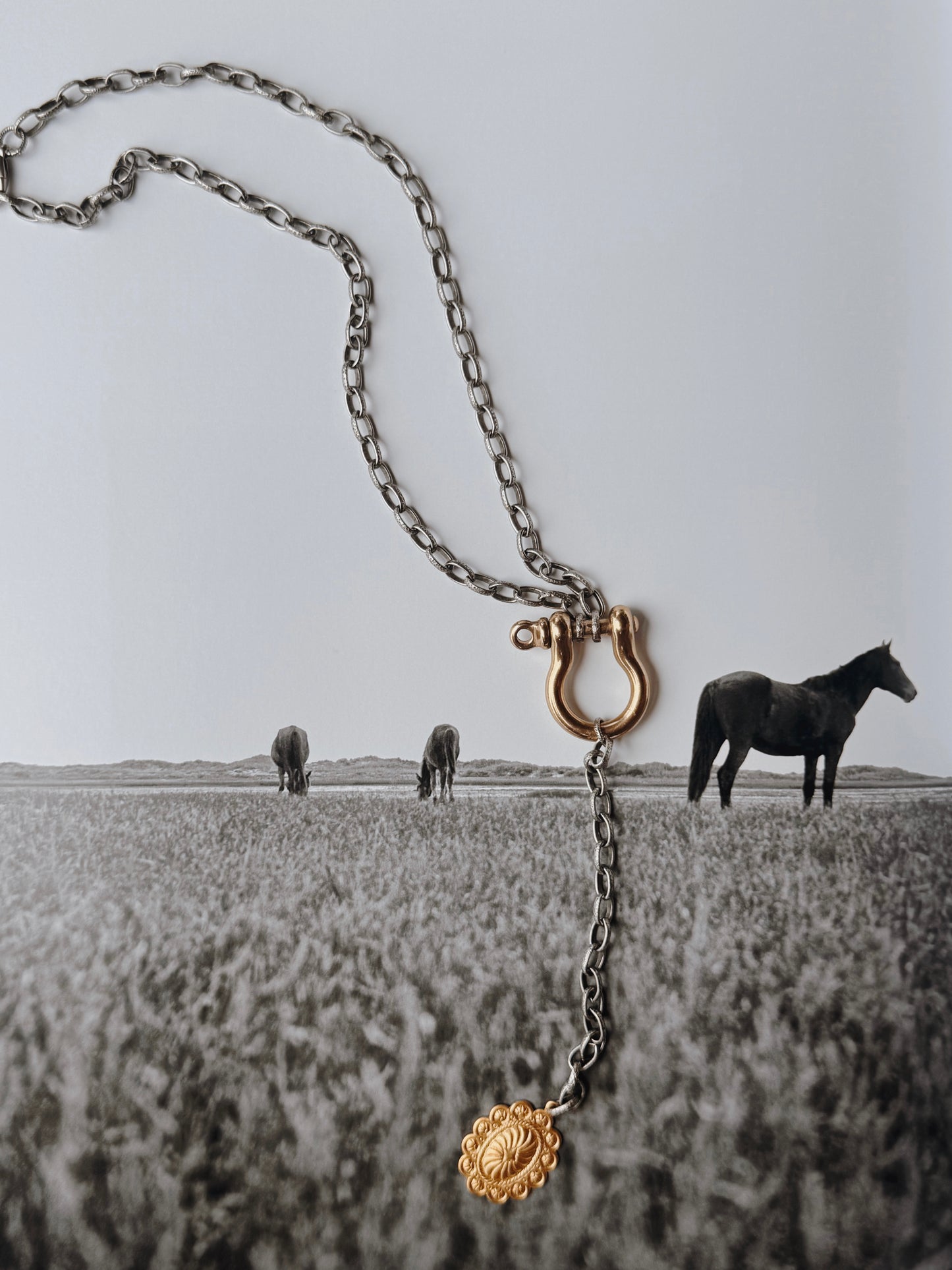 "VEGAS NIGHTS" Lariat