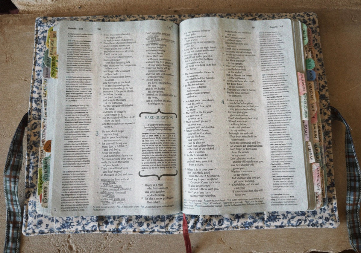 PATCHWORK PONY BIBLE COVER